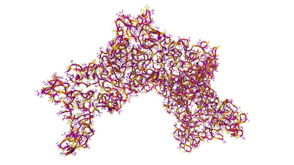 elastin v Coralift 